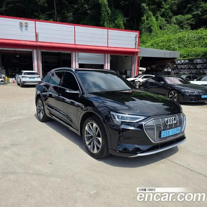 Audi e-tron 2020 0.2 автомат (гидро), фото 8