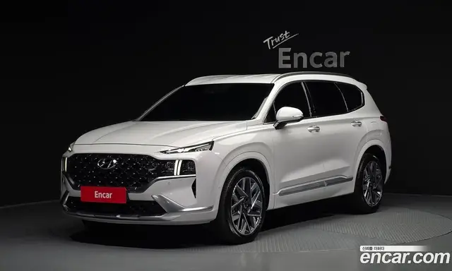 Hyundai Santa Fe, 2020, 47 478 км