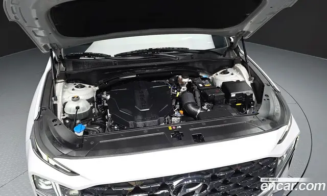Hyundai Santa Fe 2020 2.2 автомат (гидро), миниатюра 6