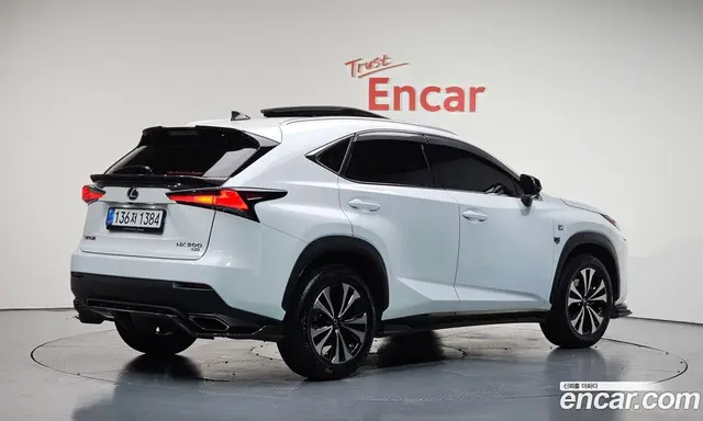 Lexus NX, 2020, 29 819 км