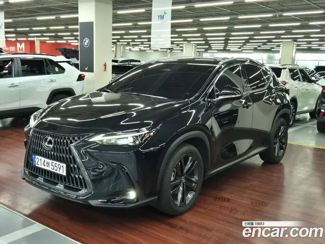Lexus NX, 2025, 26 000 км
