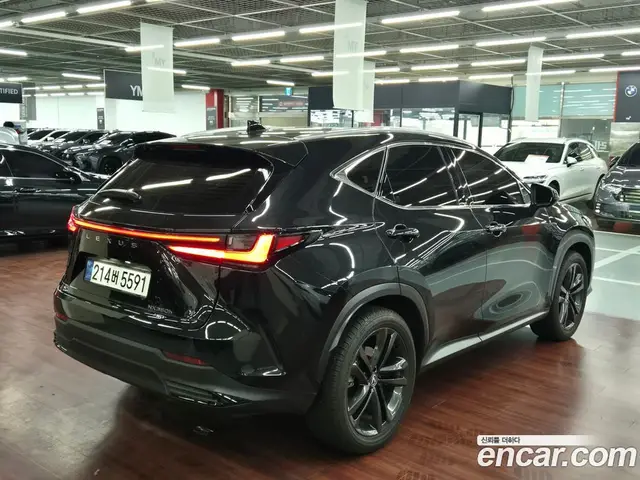 Lexus NX 2025 2.5 автомат (вариатор), миниатюра 2