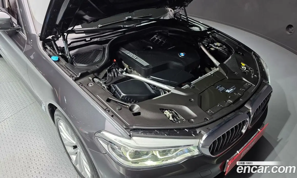 BMW 5 серия 2020 2.0 автомат (гидро), фото 6 BMW 5 серия 2020 2.0 автомат (гидро), фото 6