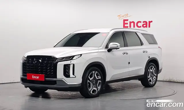 Hyundai Palisade, 2023, 35 957 км