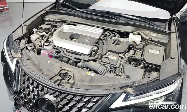 Lexus UX 2023 2.0 автомат (гидро), миниатюра 6