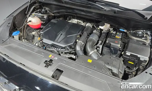 Hyundai Santa Fe 2022 2.5 автомат (гидро), миниатюра 6 Hyundai Santa Fe 2022 2.5 автомат (гидро), миниатюра 6