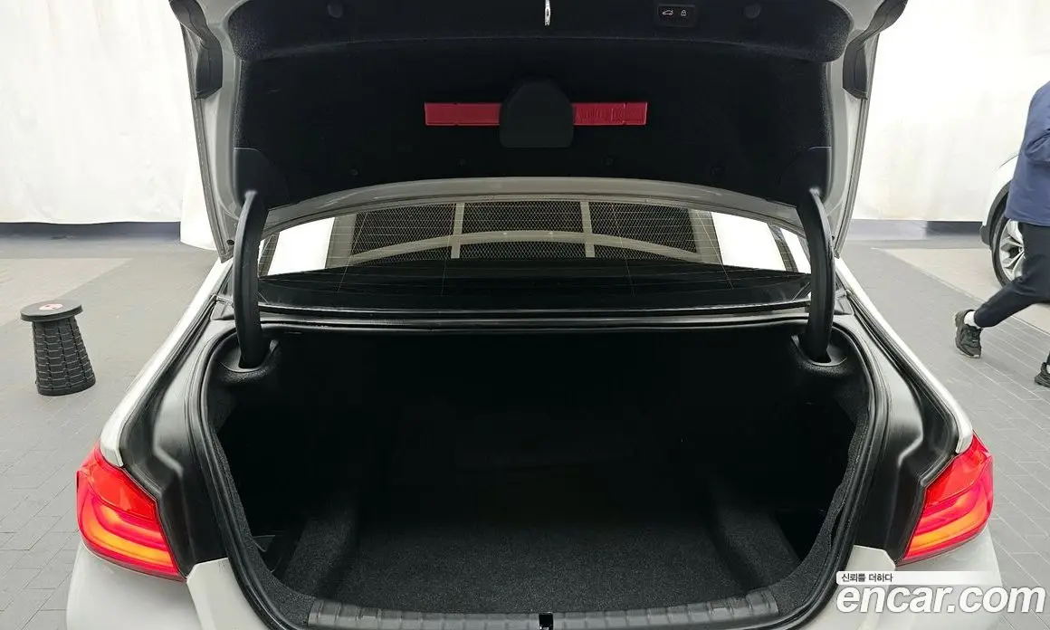 BMW 5 серия 2019 2.0 автомат (гидро), фото 20