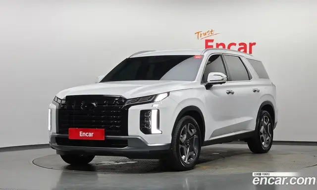 Hyundai Palisade, 2024, 10 765 км