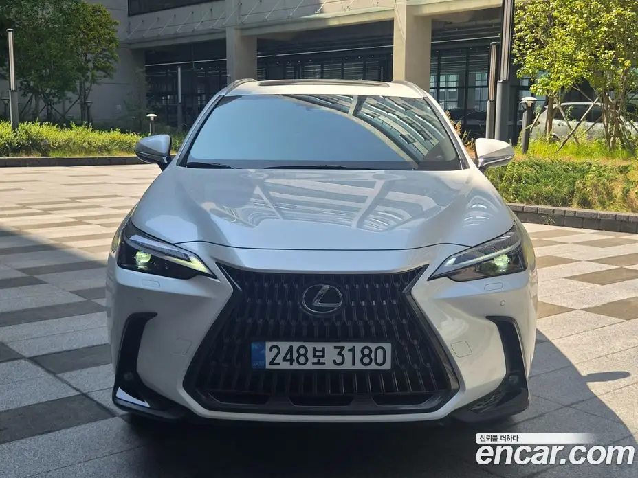 Lexus NX 2025 2.5 автомат (гидро), фото 3