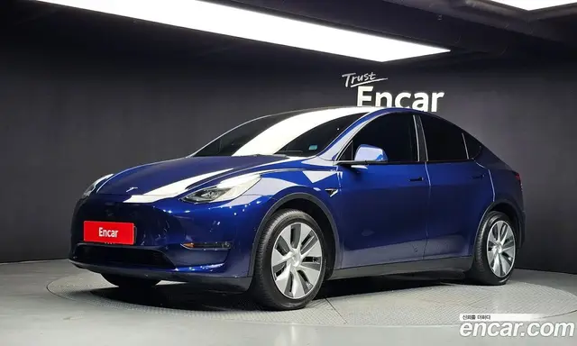 Tesla Model Y, 2021, 153 870 км