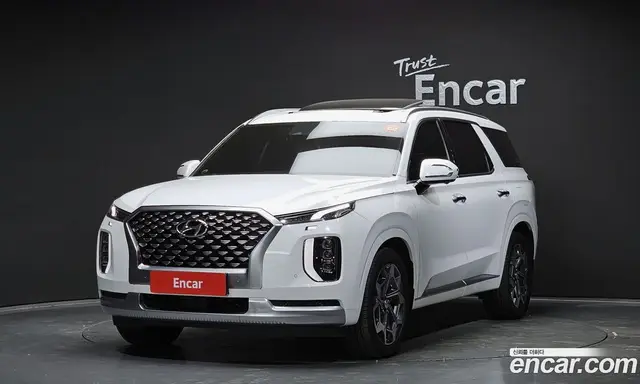 Hyundai Palisade, 2020, 47 719 км