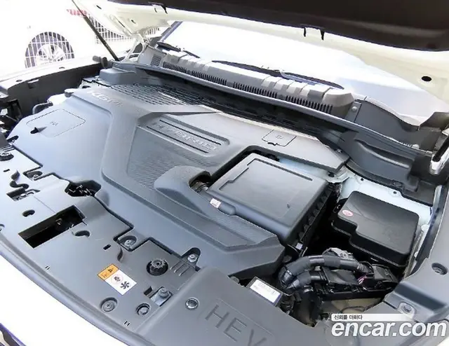SsangYong Torres 2025 1.5 автомат (гидро), миниатюра 6 SsangYong Torres 2025 1.5 автомат (гидро), миниатюра 6