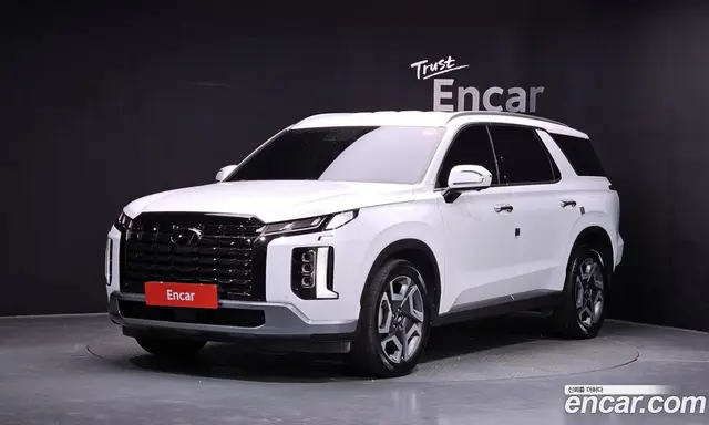Hyundai Palisade, 2023, 34 215 км