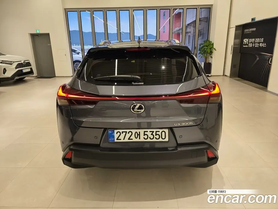 Lexus UX 2025 2.0 автомат (вариатор), фото 4