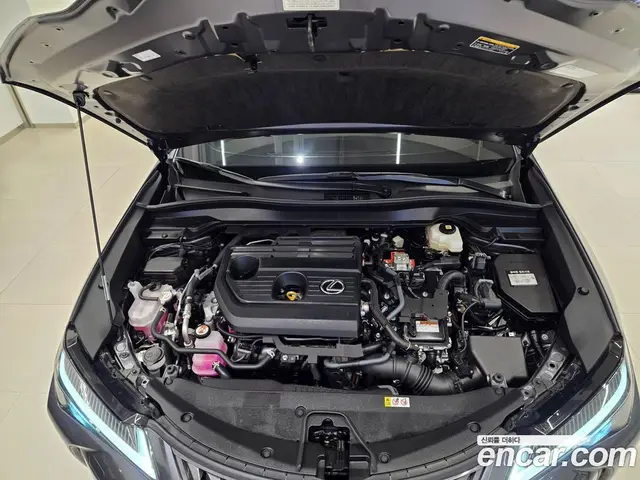 Lexus UX 2025 2.0 автомат (вариатор), миниатюра 6