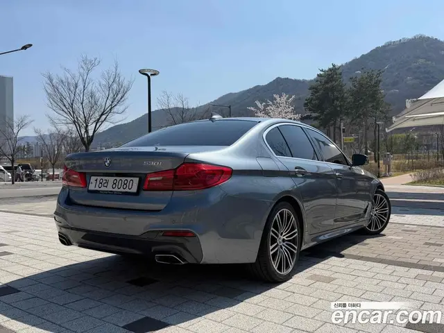 BMW 5 серия 2019 2.0 автомат (гидро), миниатюра 2