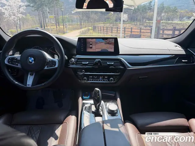 BMW 5 серия 2019 2.0 автомат (гидро), миниатюра 7