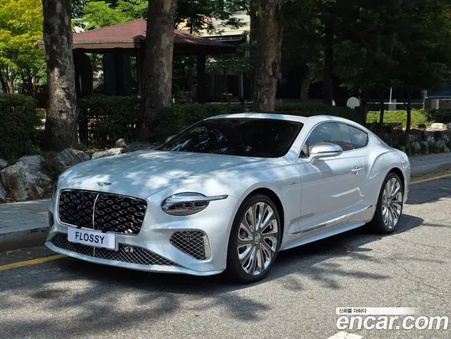Bentley Continental, 2026, 830 км