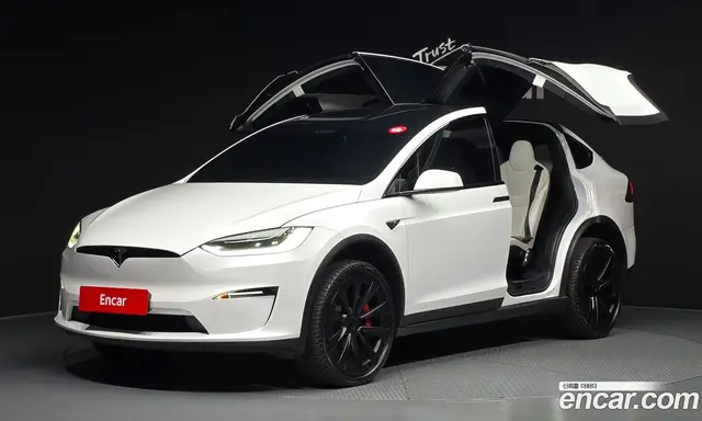 Tesla Model X, 2023, 30 125 км