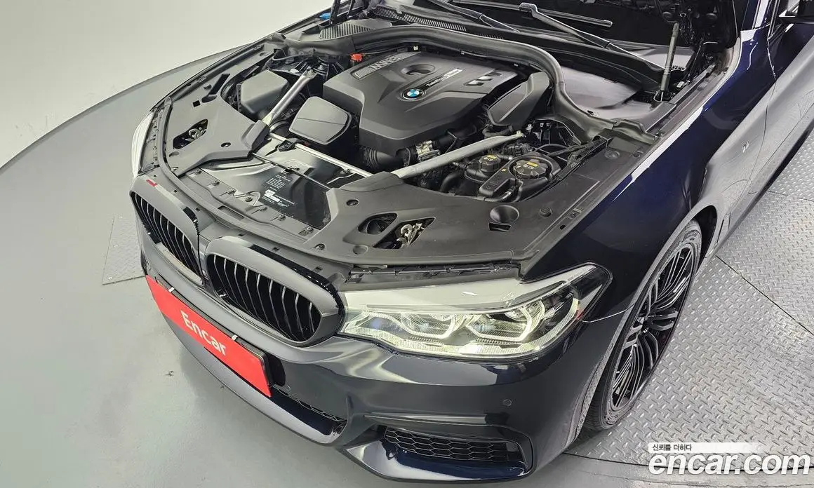 BMW 5 серия 2019 2.0 автомат (гидро), фото 6 BMW 5 серия 2019 2.0 автомат (гидро), фото 6