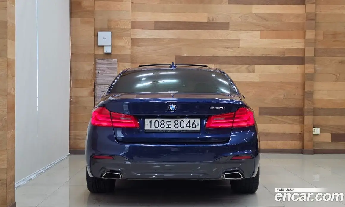 BMW 5 серия 2020 2.0 автомат (гидро), фото 4