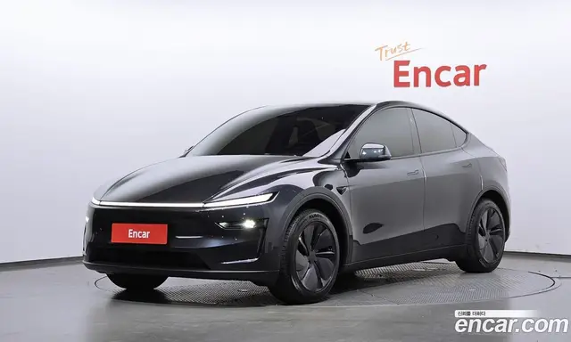 Tesla Model Y, 2025, 13 502 км