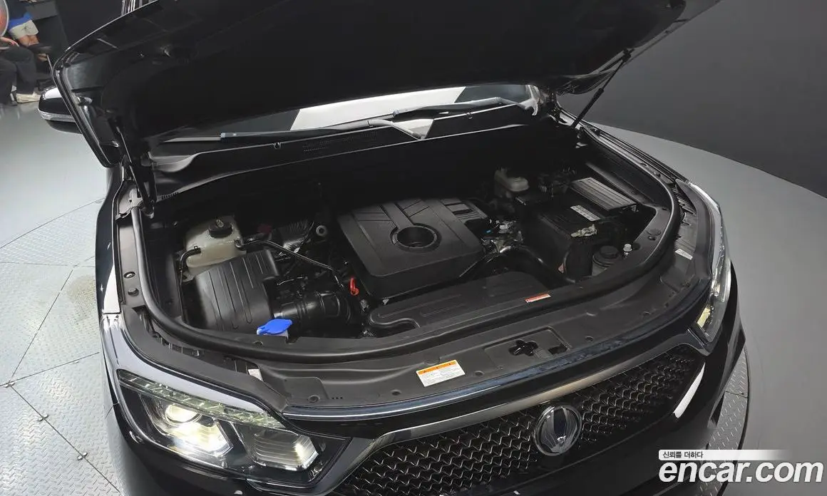 SsangYong Rexton 2019 2.2 автомат (гидро), фото 6