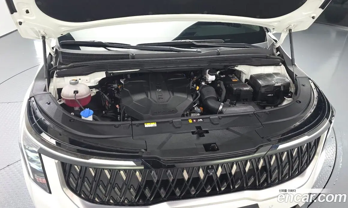 Kia Carnival 2024 2.2 автомат (гидро), фото 6