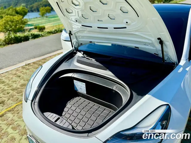 Tesla Model 3 2020 0.2 автомат (гидро), миниатюра 7