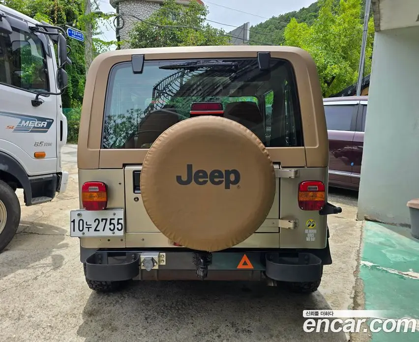Jeep Wrangler 1994 2.5 механика, фото 2 Jeep Wrangler 1994 2.5 механика, фото 2