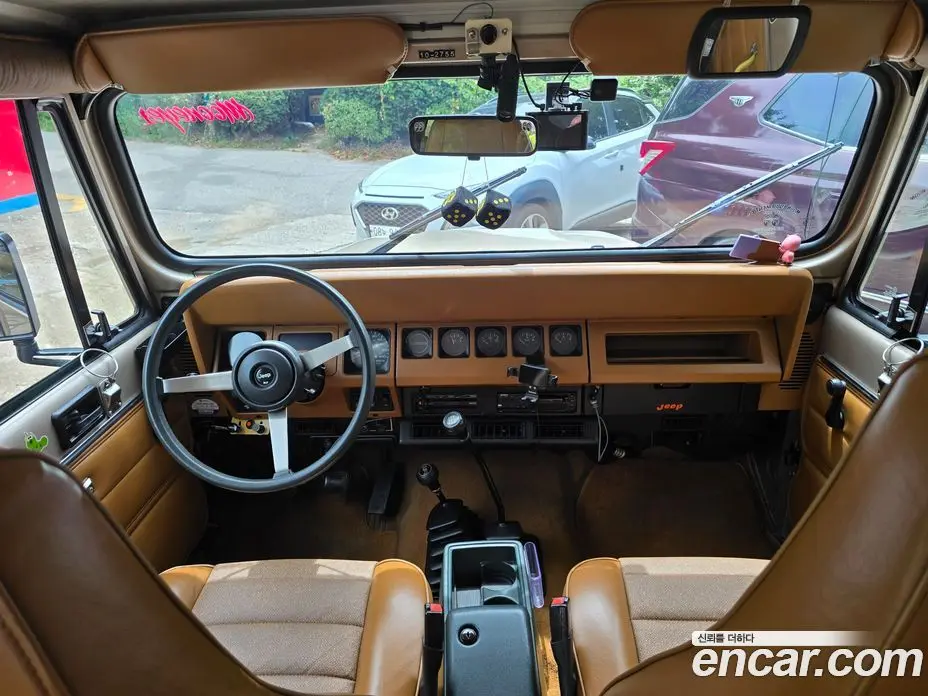 Jeep Wrangler 1994 2.5 механика, фото 6 Jeep Wrangler 1994 2.5 механика, фото 6