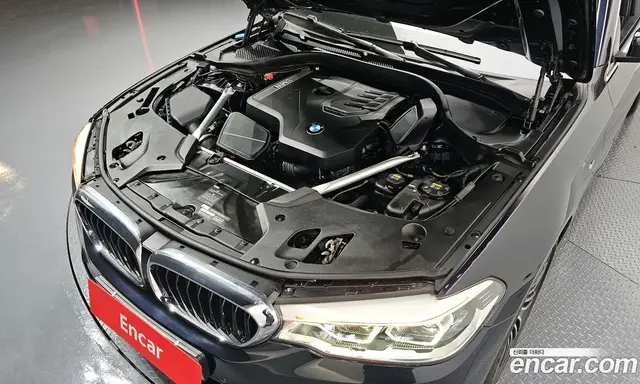 BMW 5 серия 2020 2.0 автомат (гидро), миниатюра 6
