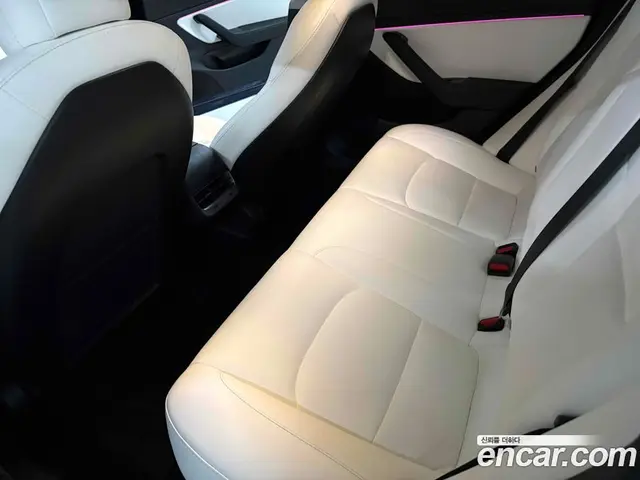 Tesla Model 3 2020 автомат (гидро), миниатюра 9