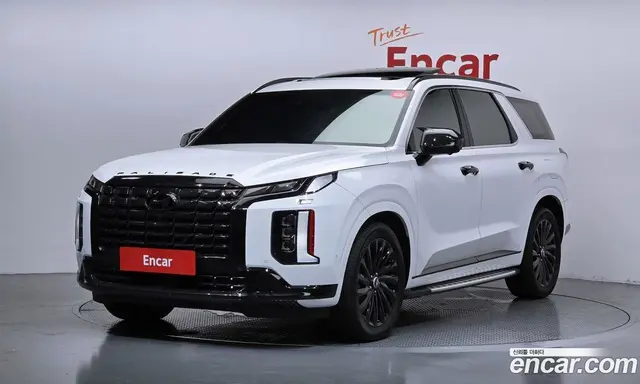 Hyundai Palisade, 2024, 30 980 км