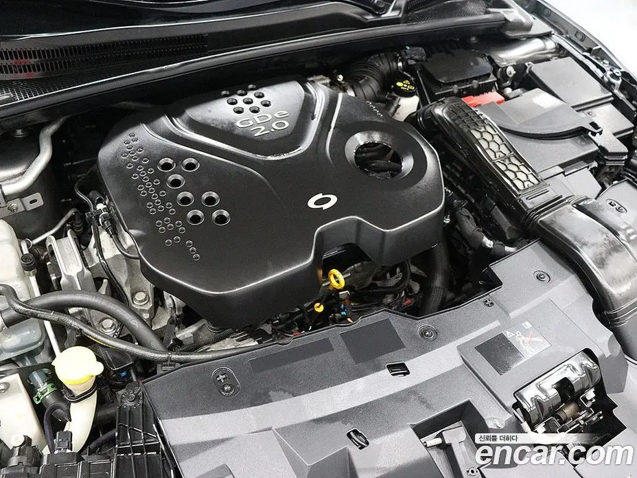 Renault (Samsung) SM6 2016 2.0 автомат (гидро), фото 19