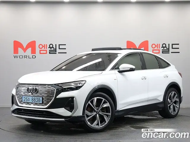 Audi Q4 e-tron, 2023, 27 000 км