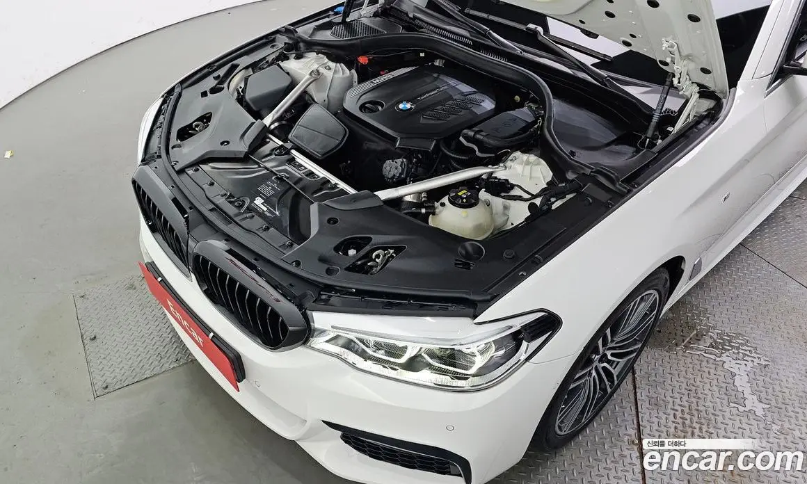 BMW 5 серия 2020 2.0 автомат (гидро), фото 6 BMW 5 серия 2020 2.0 автомат (гидро), фото 6