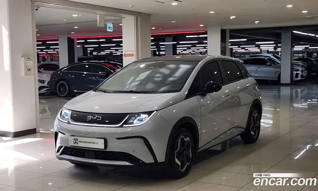 BYD Dolphin, 2026, 1 710 км BYD Dolphin, 2026, 1 710 км