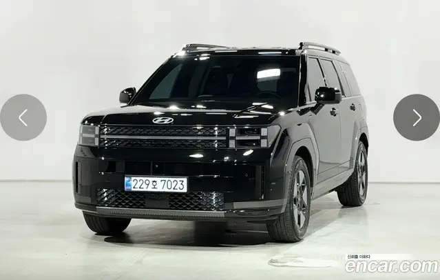 Hyundai Santa Fe, 2024, 25 393 км
