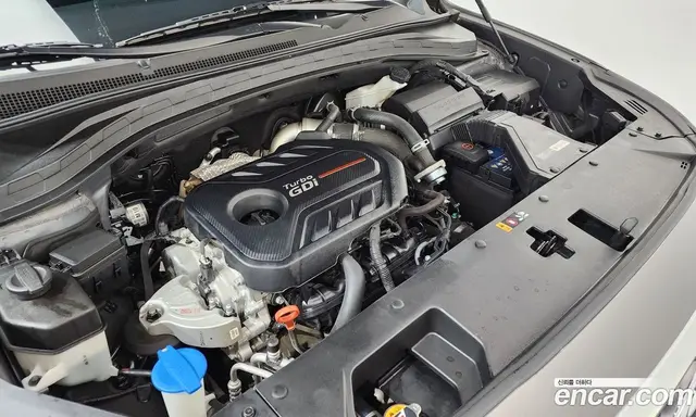Hyundai Santa Fe 2020 2.0 автомат (гидро), миниатюра 6