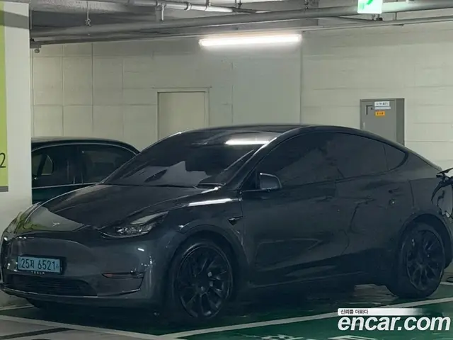 Tesla Model Y, 2021, 60 128 км