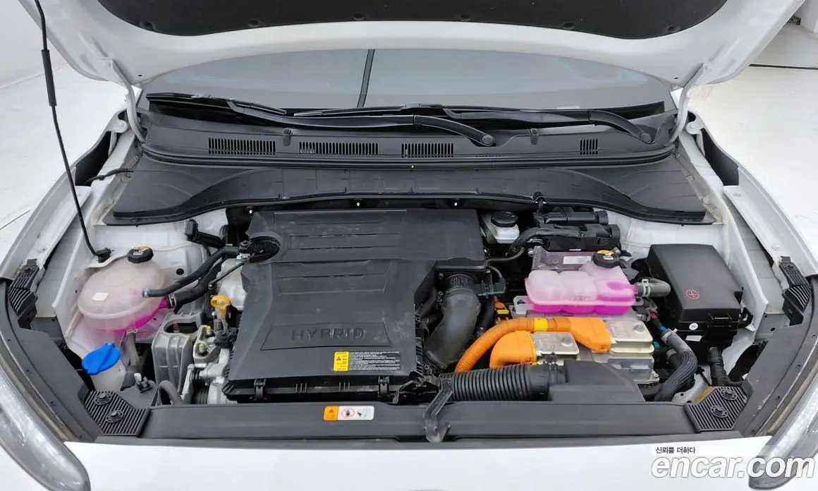 Hyundai Kona 2023 1.6 автомат (гидро), фото 6 Hyundai Kona 2023 1.6 автомат (гидро), фото 6