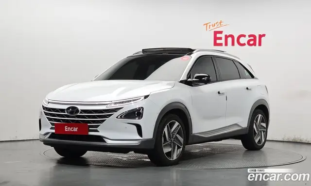 Hyundai Nexo, 2024, 8 706 км