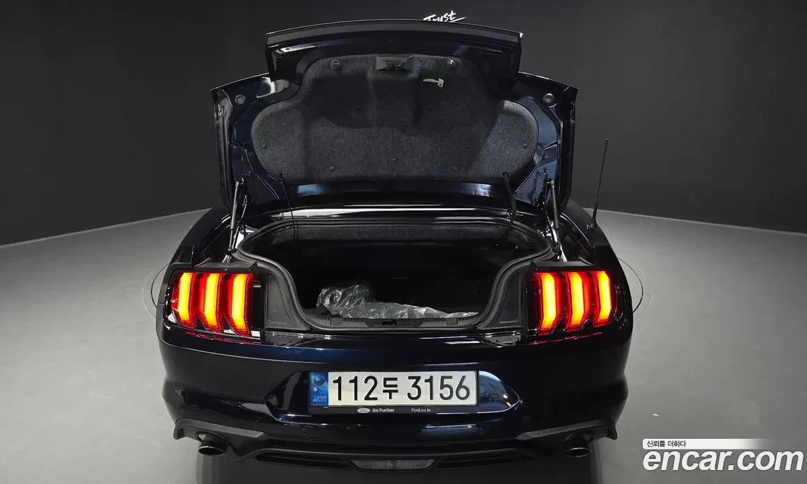 Ford Mustang 2021 2.3 автомат (гидро), фото 20 Ford Mustang 2021 2.3 автомат (гидро), фото 20