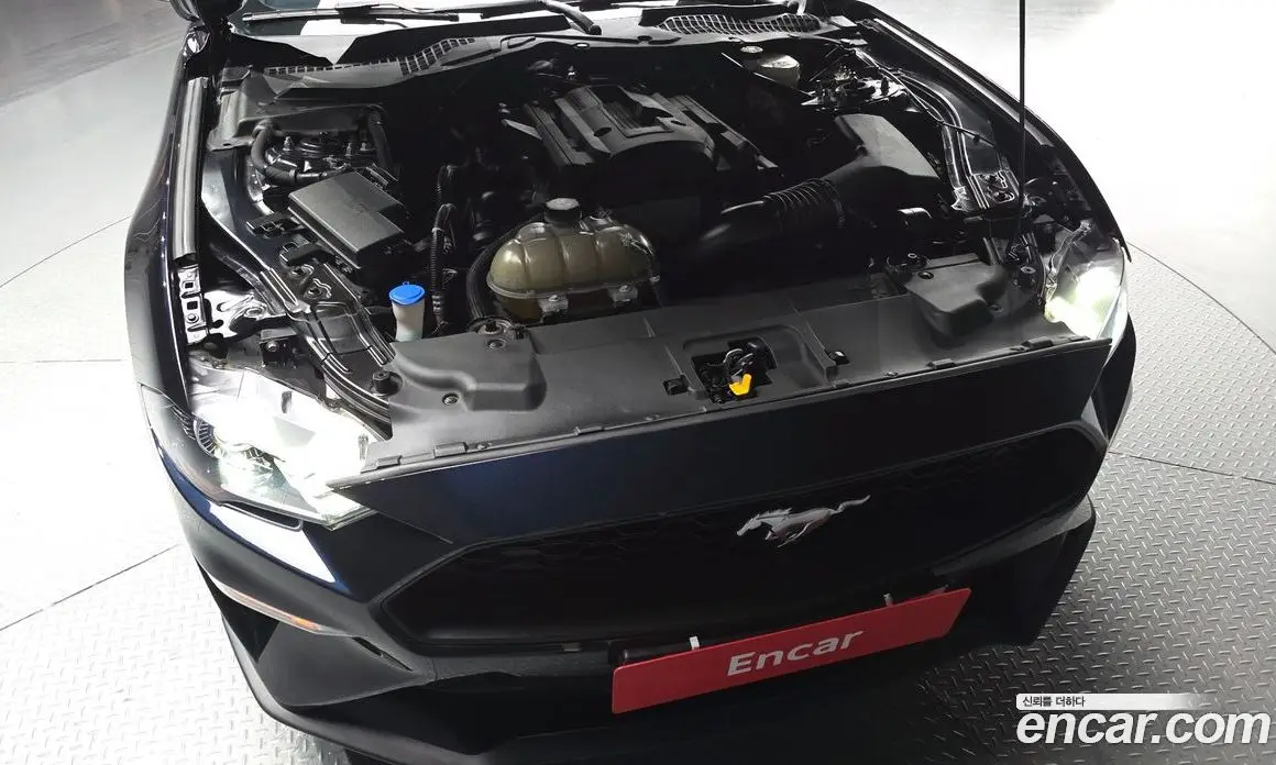 Ford Mustang 2021 2.3 автомат (гидро), фото 6 Ford Mustang 2021 2.3 автомат (гидро), фото 6