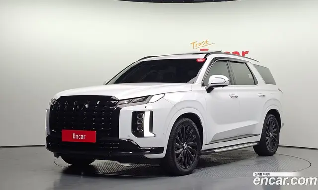 Hyundai Palisade, 2023, 29 053 км