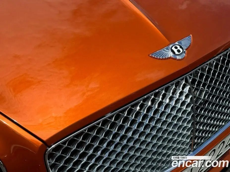 Bentley Continental 2018 6.0 автомат (гидро), фото 19 Bentley Continental 2018 6.0 автомат (гидро), фото 19