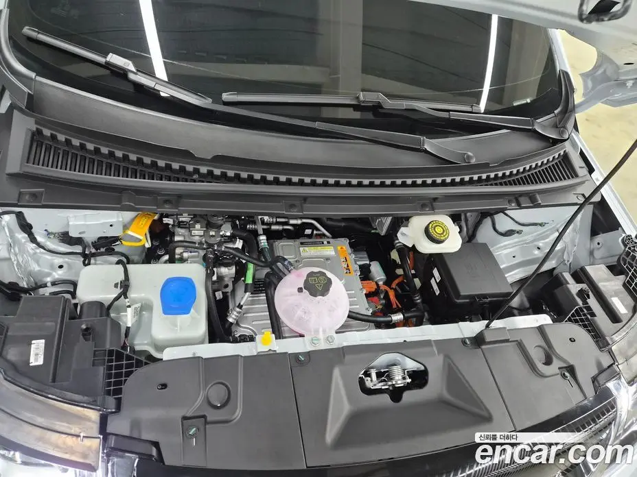 BYD Dolphin 2026 0.1 автомат (гидро), фото 6