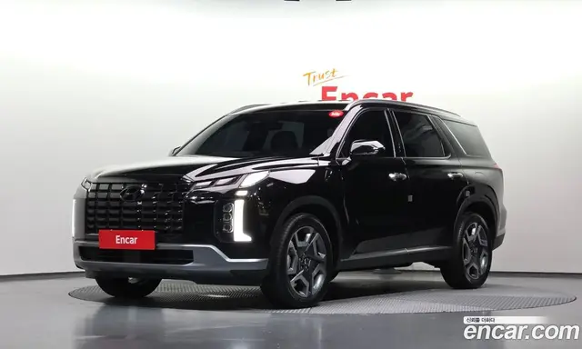 Hyundai Palisade, 2024, 13 427 км