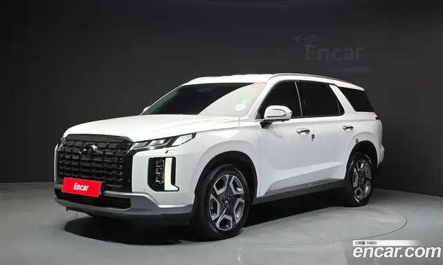 Hyundai Palisade, 2023, 29 423 км